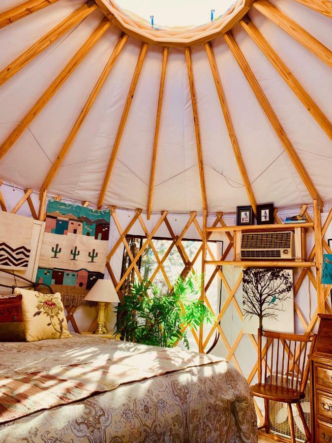 The Yoga Yurta At Sunny Mellow Eco Tijeras