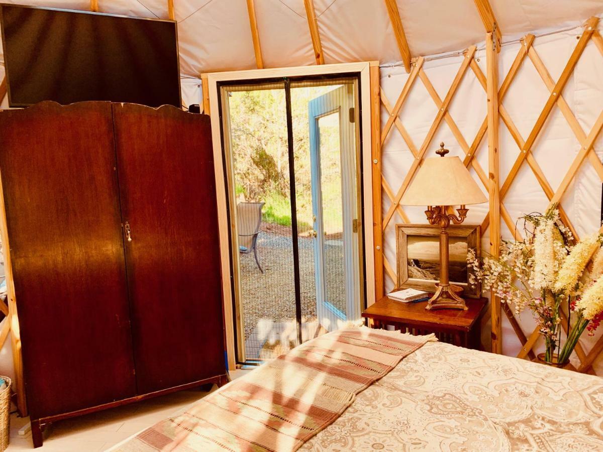 The Yoga Yurta At Sunny Mellow Eco Villa Tijeras