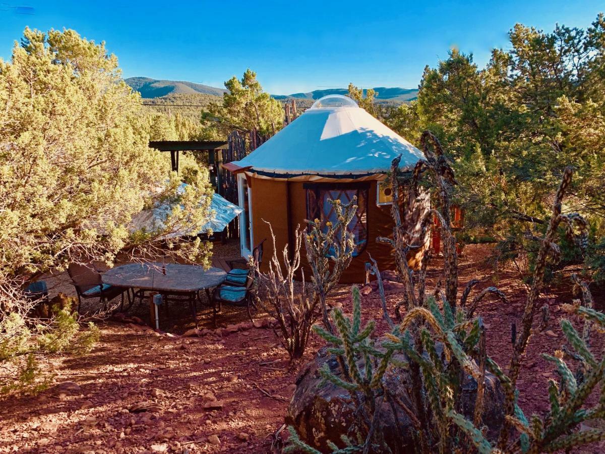 The Yoga Yurta At Sunny Mellow Eco